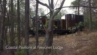 Accommodation in Freycinet National Park  Coastal Pavilions [upl. by Aiuhsoj]