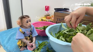 Monkey ShiShi is so cute Cook with mom [upl. by Akienaj999]