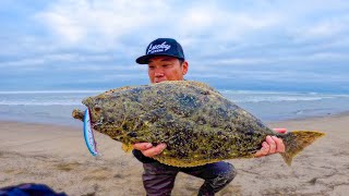 Legal Halibut after Legal Halibut SoCal Surf Fishing LUCKY CRAFT [upl. by Mena304]