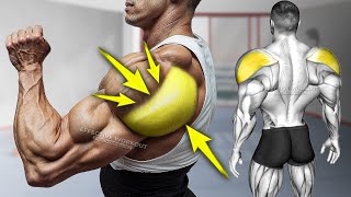 5 Best Rear Delt Exercises Expert Tips [upl. by Kenji]