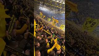 Borussia Dortmund Fans🖤💛 [upl. by Mungo]