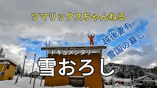 【雪おろし】ツマリックスちゃんねる サトラー 越後妻有 十日町市 津南町 大地の芸術祭 豪雪 ＃雪おろし ＃雪国の暮し ＃雪国 ＃echigotsumari [upl. by Nichy848]