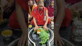 baba baidyanath ki kancha jal puja karte tirth purohit mahadevststus youtubeshorts [upl. by Tuorah]