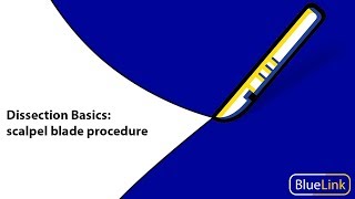 Dissection Basics  Scalpel Blade Procedure [upl. by Leyla]