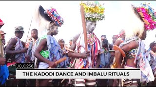 THE BAGISU KADODI DANCE  EASTERN UGANDA [upl. by Faso]