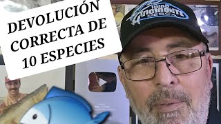 LO QUE SE PESCA SE COME O SE DEVUELVE CORRECTAMENTE CATCH amp RELEASE [upl. by Salhcin]