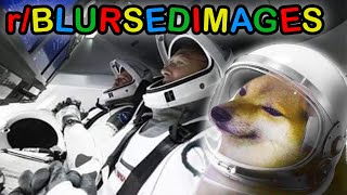 rBlursedimages · space bork [upl. by Adelice]