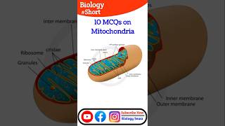 GS Part 7 Quiz Challenge 10 MCQs on Mitochondria neet gs tgtpgt [upl. by Leksehcey]