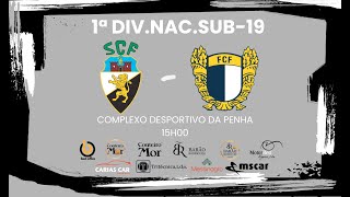 SC Farense vs FC Famalicão sub19 [upl. by Acsisnarf]