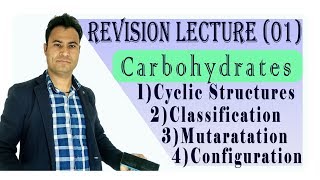 Revision of Carbohydrates  Mutarotation  Glucose  Fructose  Disaccharides  Polysaccharides [upl. by Etnoved177]