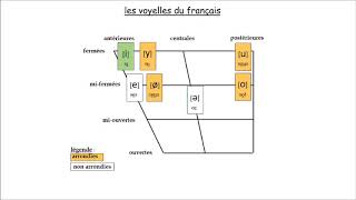 Les voyelles phonétiques du français [upl. by Custer]