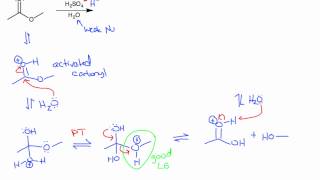 Ester Hydrolysis Acidic and Basic Conditions [upl. by Anirbac446]