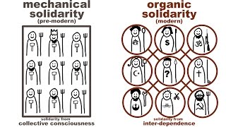 Durkheims Mechanical and Organic Solidarity what holds society together [upl. by Iolande]