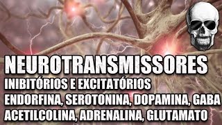 Vídeo Aula 147  Sistema Nervoso  Neurotransmissores Serotonina Dopamina e Endorfinas  Anatomia [upl. by Erasmus]