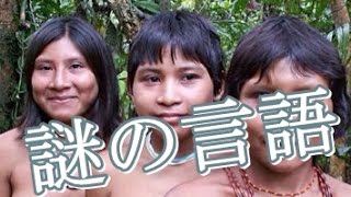 【概念を超越】謎の言語を操るｱﾏｿﾞﾝの少数派民族｢ﾋﾟﾀﾞﾊﾝ族｣最凶の閲覧注意 [upl. by Ettelracs]