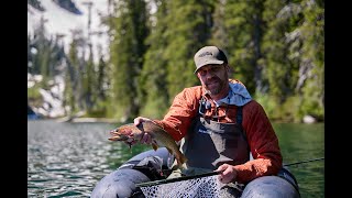 Fly Fishing Montana  18 Inch Yellowstone Caught [upl. by Armstrong]