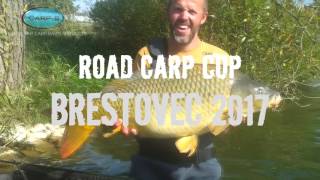 CarpB  ROAD CARP CUP BRESTOVEC 2017 [upl. by Yorker]