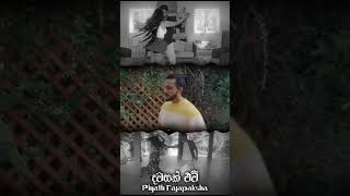 Dawasak Ewi Apith දවසක් ඒවි  Piyath Rajapaksha  Lyrics Video  Ar Vibes  tiktok shortsfeed [upl. by Vanhomrigh266]