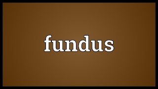 Fundus Meaning [upl. by Salchunas]