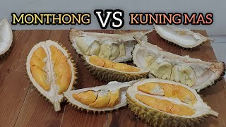 REVIEW DURIAN MONTHONG VS KUNING MAS  BOCAH DUREN [upl. by Ellenod]