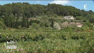 SUIVEZ LE GUIDE  Grasse un parfum de Côte dAzur [upl. by Simson576]