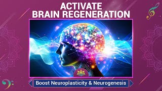 Activate Brain Regeneration  Boost Neuroplasticity amp Neurogenesis  Grow New Brain Neurons  528 Hz [upl. by Ahsienek]