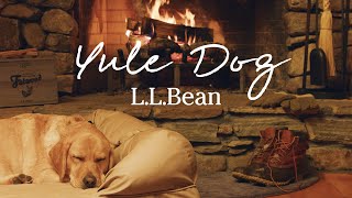 LLBean Yule Dog  1 Hour 4K Real Burning Fireplace  Cozy Holiday Background Vibes [upl. by Kienan]