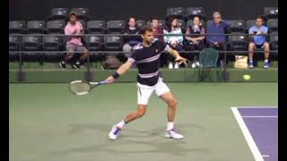 Dimitrov Forehand Slow Motion [upl. by Tillman]