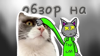 Видеообзор на кота TopCat 😨😱😰 не анимация  TopCat [upl. by Belding134]