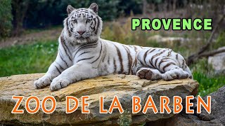 Zoo de la Barben in Provence A Photographic Discovery [upl. by Ahsieyk323]