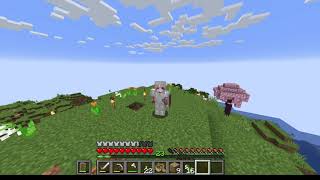 Another silly Minecraft Video Episode 4 [upl. by Georgianna133]