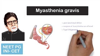 Myasthenia gravis  Myesthenia gravis  cause symptoms work up  treatment  pathology [upl. by Eetnahs299]