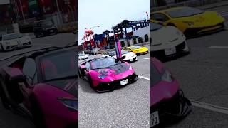 Gaddi Lamborghini Peele rang di viral video India [upl. by Cathie927]