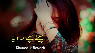 Speeny Speeny Ma Waya SlowedReverb Pashto Song  Sad Song  Lofi Song  New Song 2022 [upl. by Ateuqirne]