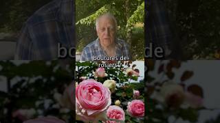 Comment faire des boutures de rosiers  bouture conseil astuce jardinage rosier nature tuto [upl. by Leblanc]