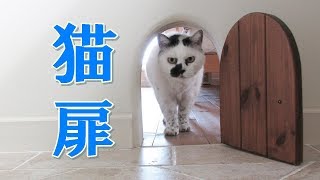 かわいい猫専用扉から次々と猫が出てくるおもしろ動画～ネコ用ドア [upl. by Jamille]