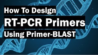 How To Create RealTime PCR Primers Using PrimerBLAST [upl. by Abehshtab725]