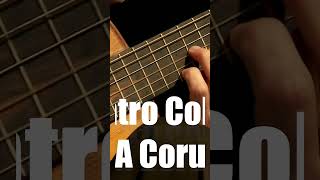 Sor Andante largo op 5 nº 5  Carles Trepat guitar [upl. by Leif]