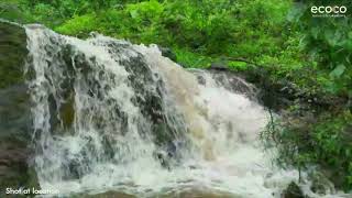 Private Waterfalls  The Lake Retreat  Nandivali  Ecoco Managed Farmplots [upl. by Adela]