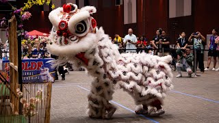 Guiding Mountain Team Fire  Female Lion Dance  3rd USDLDF National Championships 2023 [upl. by Swartz]