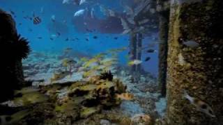 Semusim di Misool Rajaampat [upl. by Virge92]