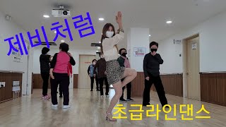 제비처럼 트롯트라인댄스 실버라인댄스 초급라인댄스 [upl. by Galateah]