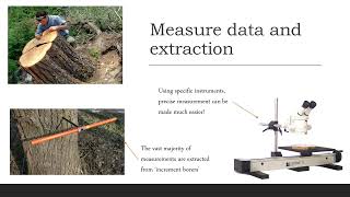 Dendrochronology as a climate proxy [upl. by Eniger]