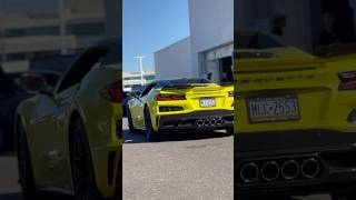 C8 Corvette Z06 🔥corvette corvettelife corvettez06 c8 corvettec8 supercars sportscar [upl. by Puiia864]