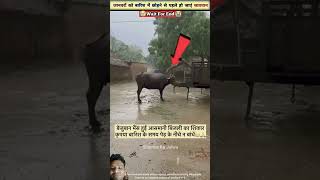 Barsat mein bhains Ko bahar nahin rakhna chahiemotivation bestofkapilsharmashow comedyfilms com [upl. by Baram]