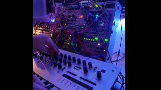 Tempered Graces  Modular Ambient W Moog M32 DFAM Minilogue [upl. by Carbo574]