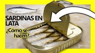 🐟 SARDINAS en LATA quotDESCUBREquot ¿Cómo se hacen Industrialmente 😋 [upl. by Opiuuk]