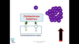 MOA of Cholinesterase inhibitorsAnticholinesterases edrophonium neostigmine  Organophosphates [upl. by Aneele]