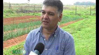 Producción de cebolla como alternativa a productores de hortalizas [upl. by Sira]