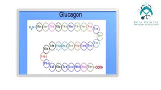 Metabolism Module Session 8 Lecture 2quotThe endocrine pancreasquot\By KMSA [upl. by Larson]